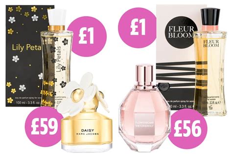 poundland perfume dupes|poundland perfume dupe list.